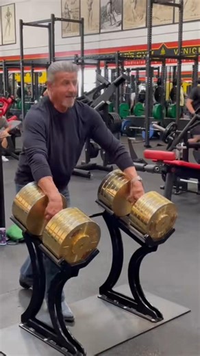 Une histoire qui a surpris les fans de Sylvester Stallone #sylvesterstallone