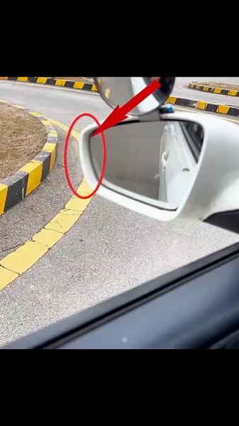 Driving Lessons: Comedy at Fake Driving School