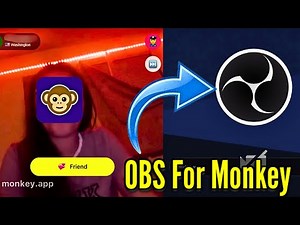 How to Use OBS Virtual Camera on Monkey Video Chat