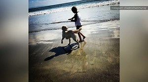 The real-life partners of Hallmark Channel stars