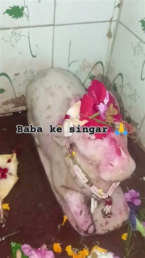 yaoo baba 🙏 #sandhasingar🌹 #ytshorts #viralvideo #trendingshorts ♥️♥️