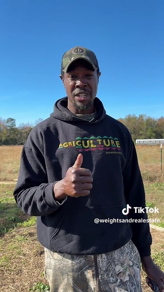 Did you know banana peels can be turned into an amazing, nutrient-packed fertilizer for your garden? It’s called banana tea fertilizer, and it’s simple to make. Here’s how you can do it: Take banana peels—any amount you have—and place them in a container filled with water. You can use a small 5-gallon bucket for a smaller garden or go bigger with a 55-gallon drum if you need a larger batch. Let the peels steep in the water for about 2 to 3 weeks, stirring the mixture every few days. This helps t