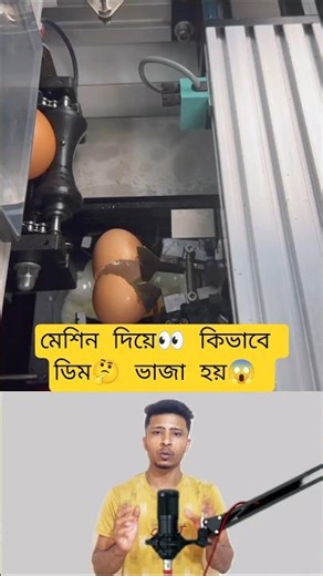 The Process of Making a Fried Egg Machine