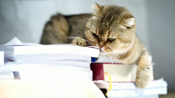 6 documents you can shred or delete right now and 7 you must keep