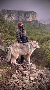 Wolves Lover on Reels