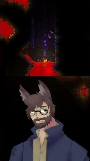 Ducky didn't have a chance o_o