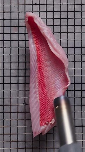 Kinmedai, Golden Eye Snapper ASMR #sushi #sushichef #asmr