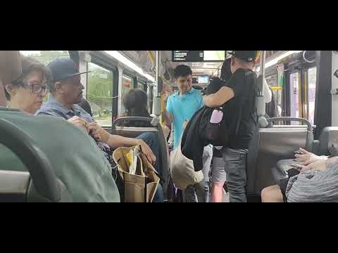 CTA Bus Route 6 Jackson Park Express From Columbus/11th To E Hyde Park Nova Bus Lfs 2023 #8439