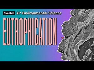 AP Environmental Science - Eutrophication & Hypoxia