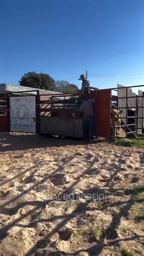 WSMP Cowboytitan Robot Garrote | RODEO Channel
