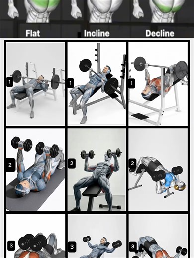 Ultimate Chest Workout Elevate Your Chest Day Routine #usafitness #fitnessshorts #gymlıfe #usagym #aesthetically #chestday