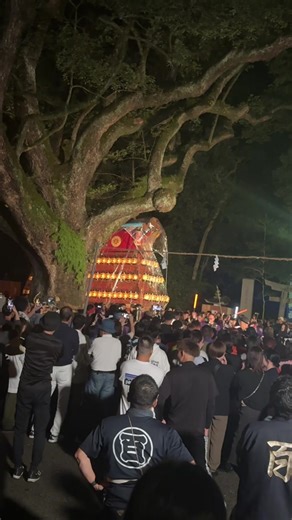 市塚 楽車 伊曾乃神社宮出し 2025.10.15 伊曾乃神社宮出し #西条祭り #伊曾乃神社祭礼 #西条祭り2025