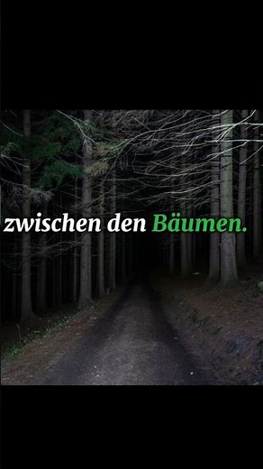 👉 Die geheimnisvolle Tür im Wald