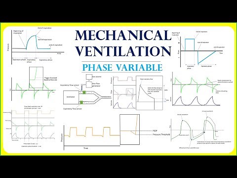Phase variable in mechanical ventilation (full video )