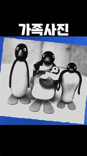 핑구르르 on Instagram: "찰칵 #pingu #핑구 #nootnoot"