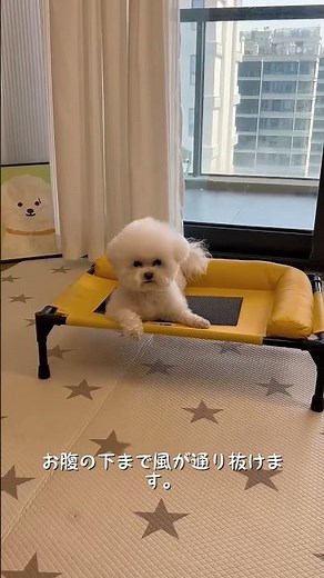 Cool and Breathable Mesh Pet Bed for Summer #DogBed #DogSupplies #LifeWithDogs #DogLife #DogLeash