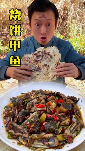 Turtle Dish Preparation: Fresh Ingredients and Cooking