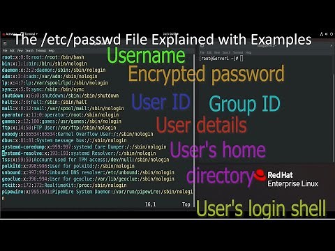 The /etc/passwd File Explained with Examples