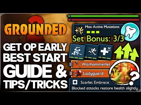 Grounded 2 - Don't Miss THIS - Get OP Early Fast - Best Weapon Armor Base Guide & 28 IMPORTANT Tips!