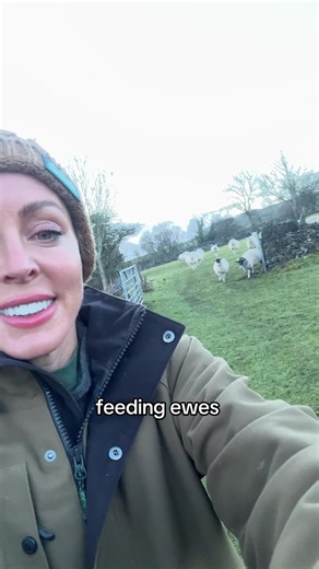 Feeding and Managing Sheep on the Farm