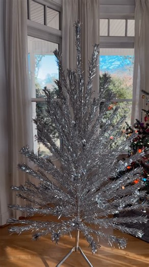 Mary Beth Wilhelm on Instagram: "My 1959 Evergleam Aluminum Christmas Tree 🥰 she’s back neatly in her original box but we are counting down the days until next Christmas!!!!!!!!!🎄"