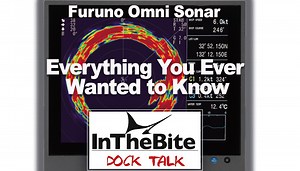 Furuno Omni Sonar: Everything You Ever Wanted to Know - InTheBite