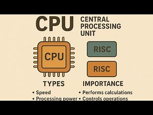 CPU: Types, Features, and Importance/CPU – Types, Functions, and Characteristics