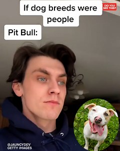 1.5M views · 52K reactions | We spoke to the man who went viral for his impressions of dog breeds as humans | BuzzFeed News | Facebook