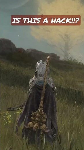 ELDEN RING HACKERS OR EXPLOIT! SOMEBODY EXPLAIN?
