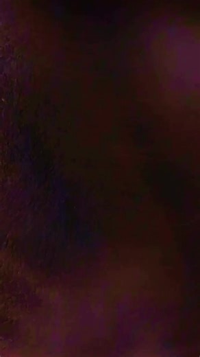 couchtoad (@couchtoad)’s videos with original sound - couchtoad