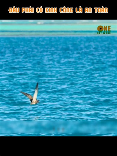 Tưởng có kinh công là an toàn | Bao Công