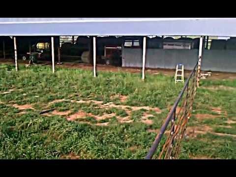 Building Cattle Working Pens