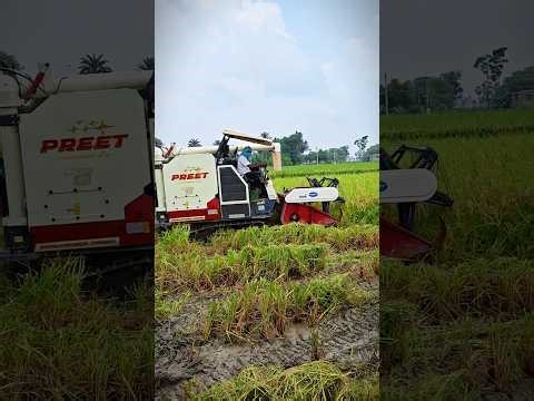 #🌾farmers⚠️life❤️🌾💯farming__reels #driver⚠️life❤️🚜💯 #kisanlife👳‍♂️