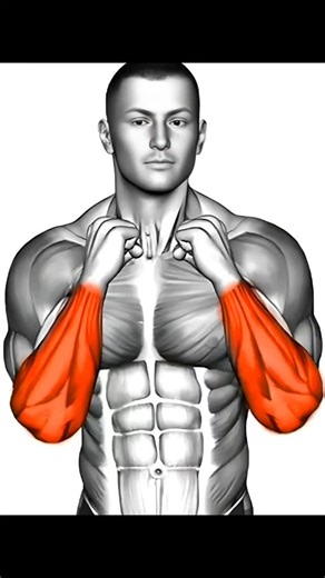 Gym Anchor on Instagram: "Build Massive Forearms with These 8 Perfect Dumbbell Exercises Designed to Maximize Size, Boost Strength, and Improve Grip Power Fast. . . . . . #gymmotivation #fitnessmotivation #bodybuilding #gym #explorepage #workout #exercise #ripped #arm #aesthetics #veins #armworkout #fitnessfreak #forearmworkout #forearms #explore #viral"