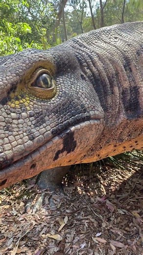 Water Dragon Perches Atop Komodo Dragon Statue