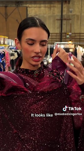 Unveiling the Cat Witch from The Masked Singer