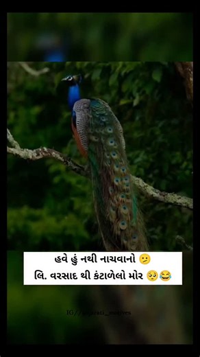 𝚅𝚒𝚓𝚊𝚢𝚜𝚒𝚗𝚑 𝚓𝚊𝚍𝚎𝚓𝚊..🍀 on Instagram: "日本利用压电瓷砖将脚步转化为电能。这些瓷砖捕捉来自你脚步的动能。当你行走时，你的重量和动作会对瓷砖产生压力。瓷砖会轻微弯曲，从而产生机械应力。瓷砖内部的压电材料将这种应力转化为电能。每一步都会产生少量电荷，而数百万步结合在一起就能产生足够的电力来驱动 LED 灯、数字显示屏和传感器。在像涩谷车站这样繁忙的地方，每天大约有 240 万个脚步为这一系统作出贡献。这些电能可以被储存或立即使用，从而减少对传统电力来源的依赖，并支持可持续的城市基础设施。这种方法将日常运动转化为实用的可再生能源 #日本 #知识 #事实 #你知道吗 #推荐 #科技 #创新 #历史 #技术 #实验 #热门 日本利用压电瓷砖将脚步转化为电能。这些瓷砖捕捉来自你脚步的动能。当你行走时，你的重量和动作会对瓷砖产生压力。瓷砖会轻微弯曲，从而产生机械应力。瓷砖内部的压电材料将这种应力转化为电能。每一步都会产生少量电荷，而数百万步结合在一起就能产生足够的电力来驱动 LED 灯、数字显示屏和传感器。在像涩谷车站这样繁忙的地方，每天