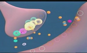 Sorry, we have encountered a problem. - Alexander Street, a ProQuest Company