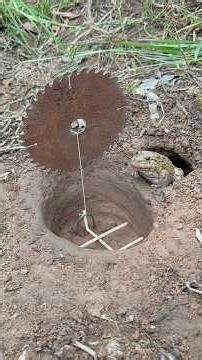 Smart and USEFUL With Frogs Trap in the forest #bushcraft #outdoors #survival