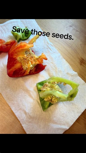 How to Save Vegetable Seeds for Home Gardening