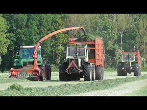 Vintage silage harvesting!