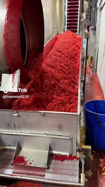 Freshly made hot Cheetos! 😮‍💨😮‍💨 #cheetos #fyp #food #viral #givemesome