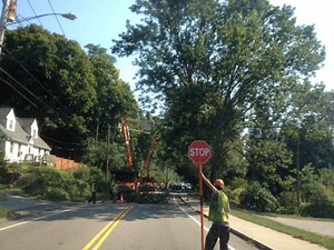 A Tree Management Plan To Minimize Damage to Power Lines