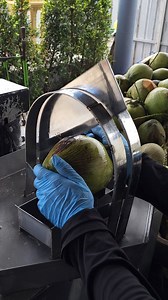 8K reactions · 52 shares | Thailand's Amazing Coconut Cutting Machine!!! | YB EATTV Shorts | Facebook