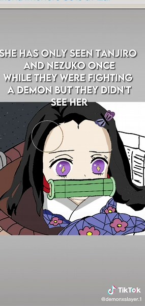 Who is Aiko? Explore the World of Aiko in Demon Slayer