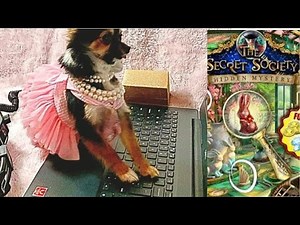 Secret Society® Hidden Mystery How to play, tutorial & play through with guest