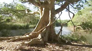 Giving Food and Shelter