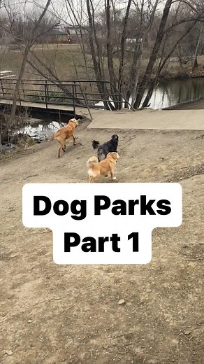 3.7K views · 63 reactions | There’s a reason why I’ve NEVER had an...