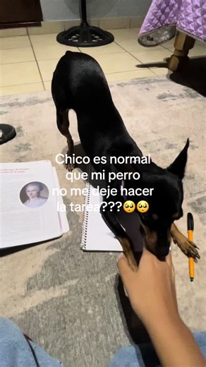 Es normal🥺🥺#Nikki #noflop #video #tiktok #nomedejenenflop #videoviral #noquierohacermitarea