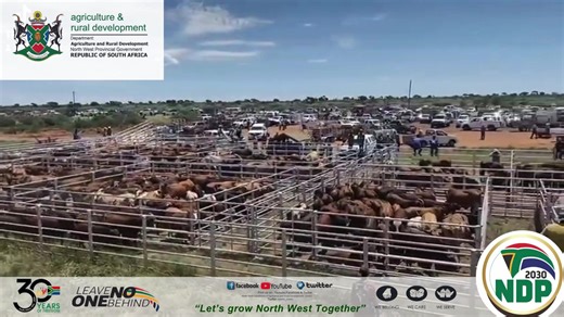 3.1K views · 66 reactions | Village livestock auction dates for February 2025. | North West Department of Agriculture and Rural Development | Facebook